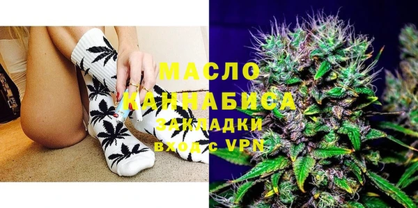 гидра Бородино