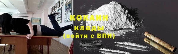 гидра Бородино