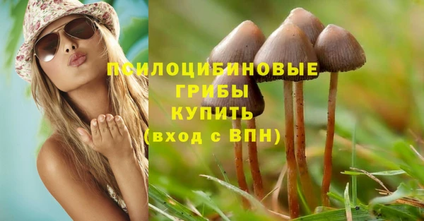 первитин Верея