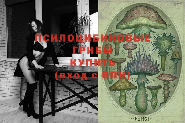герыч Бугульма