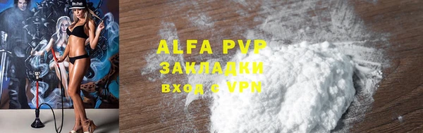 гидра Бородино