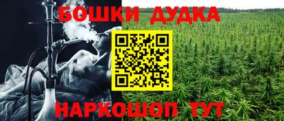 тгк Бийск