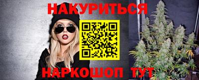 тгк Бийск