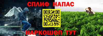 тгк Бийск