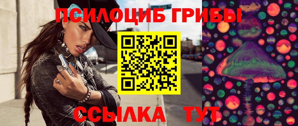Галлюциногенные грибы Psilocybine cubensis  Вход с VPN  Видное 